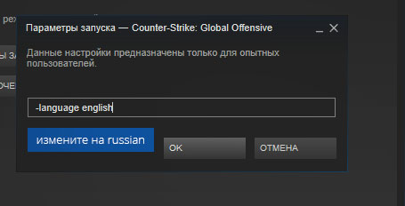 Параметры запуска -language english